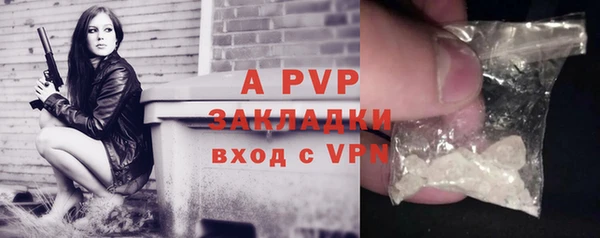 твердый Пересвет