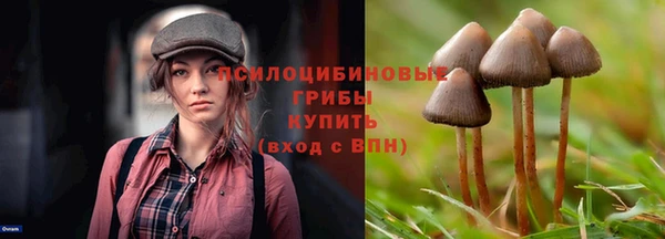 твердый Пересвет