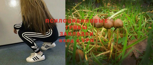 амф Переславль-Залесский