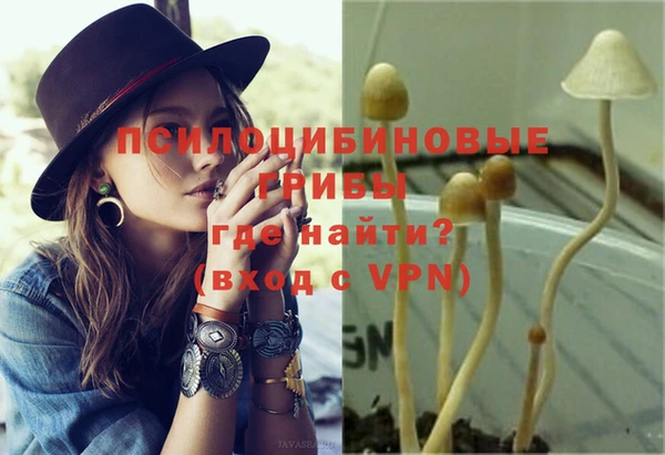 твердый Пересвет