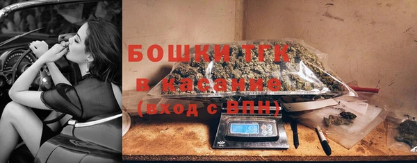 твердый Пересвет