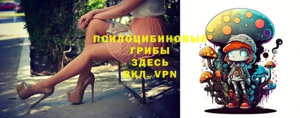 стафф Абинск
