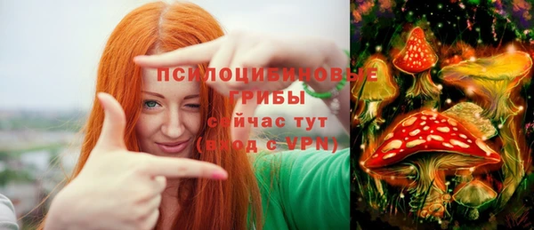 apvp Бородино