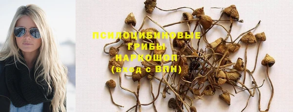 mdpv Пестово