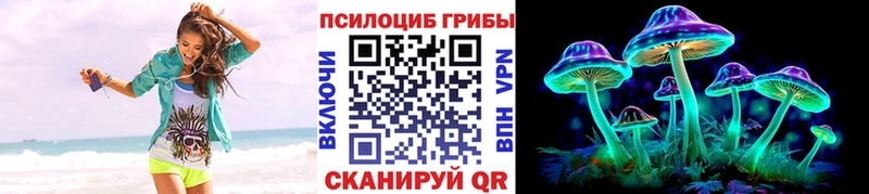 blacksprut ссылка Черногорск Псилоцибиновые грибы Magic Shrooms хочу наркоту
