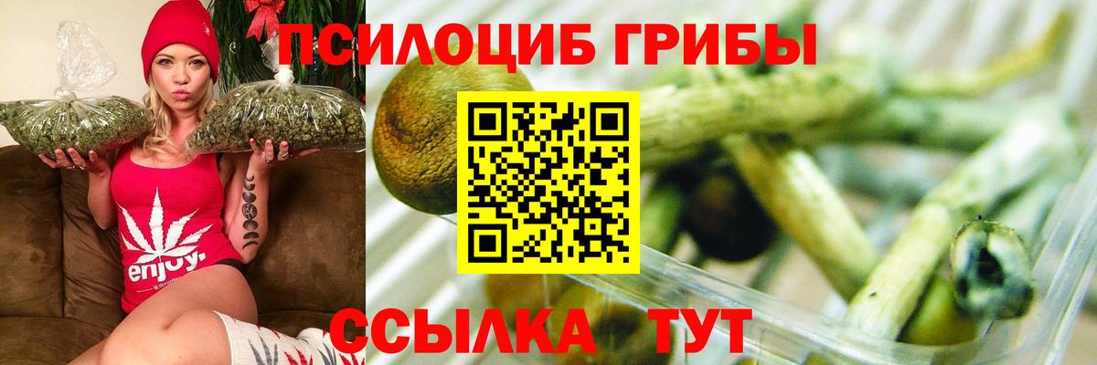 Галлюциногенные грибы Magic Shrooms  Вход с VPN  Псилоцибиновые грибы мицелий  Черногорск 